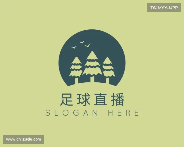 关于足球直播